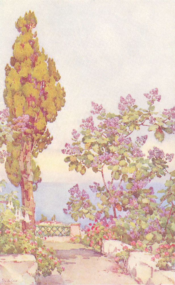 CANARY ISLANDS/ISLAS CANARIAS. A Spanish Garden 1911 old antique print picture